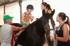 Волгоградские дети с ограниченными возможностями здоровья – участники программы «Образование для ВСЕХ» посетили Семейный конный клуб «Живая тропа»